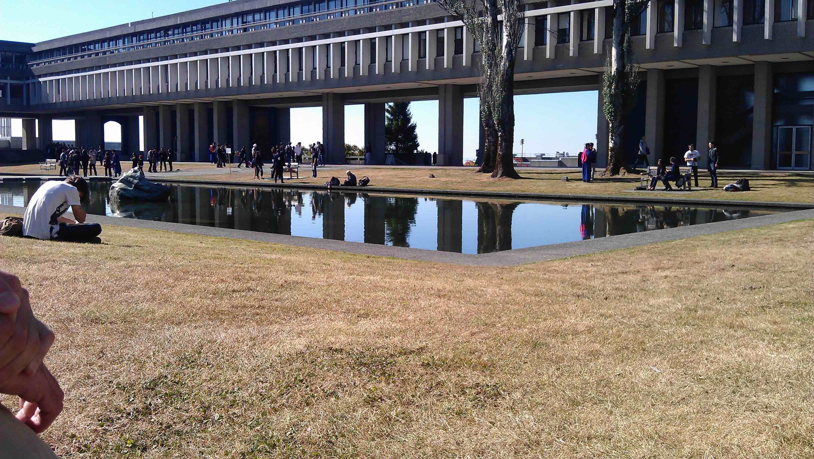 2012 summer sfu pond