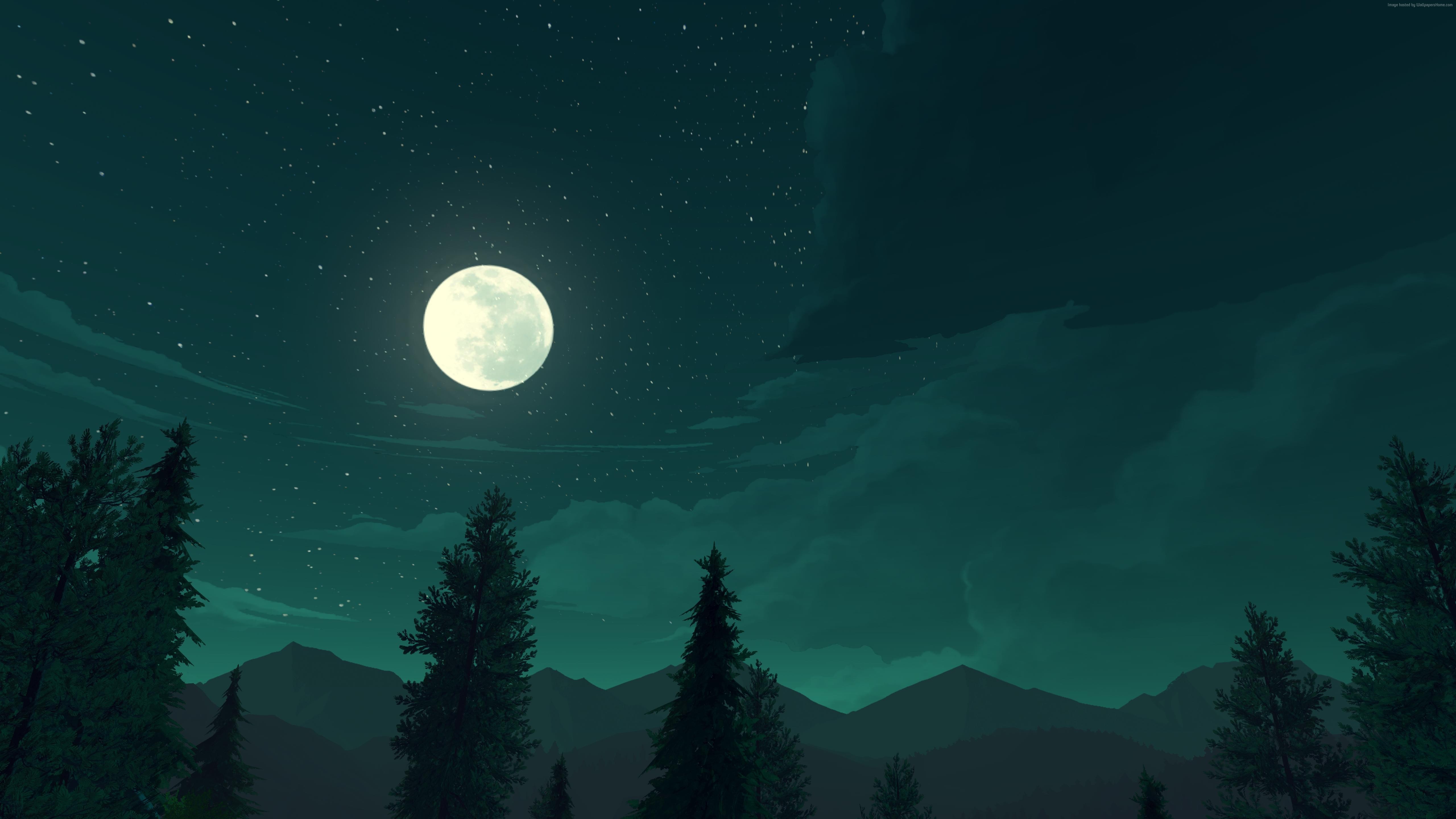 firewatch forest at night